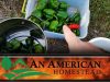 Final-Pepper-Harvest-An-American-Homestead
