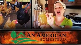 Pressure-Canning-Your-Chickens