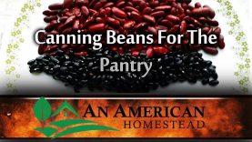Canning-Beans-Is-Easy