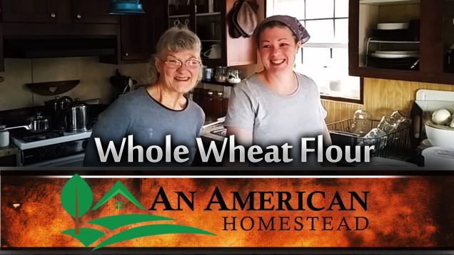 Washing Dishes Off Grid An American Homestead Off Grid Homesteading