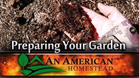 Preparing-Your-Garden-For-Spring