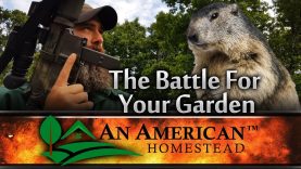 The-Battle-For-Your-Garden