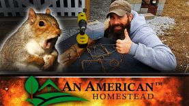 How-To-Kill-A-Bazillion-Squirrels-Probably-Illegal