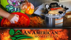 Never-Buy-Libbys-Pumpkin-AGAIN