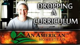 3-Reasons-To-Drop-A-Curriculum