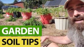 What-My-UnRegistered-Garden-Soil-Looks-Like