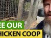 SEE-What-A-SECURE-Chicken-Coop-Looks-Like