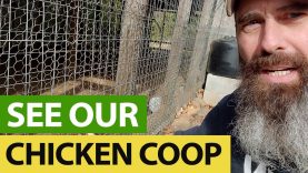 SEE-What-A-SECURE-Chicken-Coop-Looks-Like