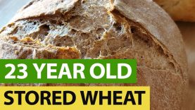 Baking-BREAD-From-23-Years-STORED-Wheat