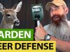 A-Few-Ways-To-DEFEND-Your-Garden