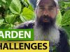 Garden-Challenges-In-2023-WATER-and-ELECTROCULTURE