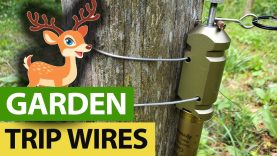 When-Deer-Invade-Your-Garden