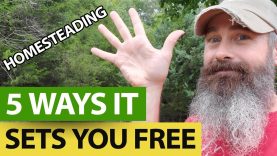 5-Ways-HOMESTEADING-Sets-You-Free