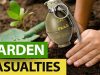 Garden-Ramblings-and-My-Quick-Take-on-FRANCE