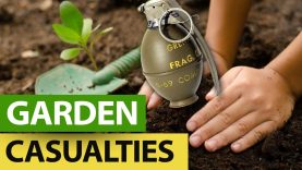 Garden-Ramblings-and-My-Quick-Take-on-FRANCE