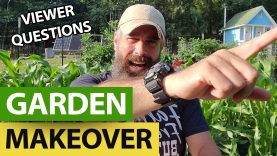 Re-Starting-A-Garden-From-Scratch-Viewer-Question