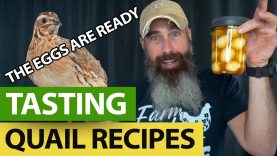 TASTE-Test-Quail-Egg-Recipes-And-Balut-Challenge