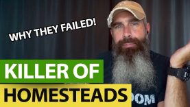 The-Top-REASON-Why-Homesteaders-QUIT