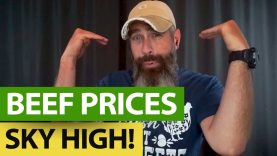 BEEF-Prices-Hit-ALL-TIME-HIGHS-Grains-Up-Too