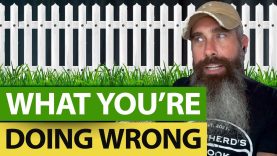 What-HOMESTEADERS-Are-Doing-WRONG