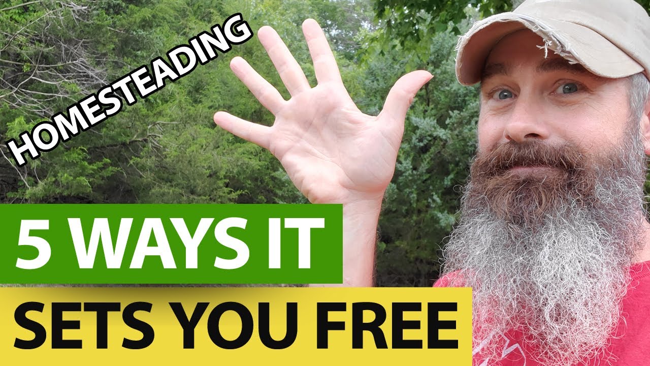 5 Ways HOMESTEADING Sets You Free! – An American Homestead Off Grid ...