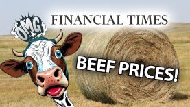 BEEF-Prices-NOW-At-RECORD-HIGHS-Its-Going-To-Get-Worse