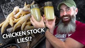 Chicken-FEET-Stock-And-The-Throne-Of-LIES