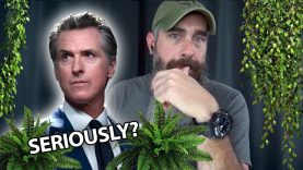 WAR Declared On PLANTS in San Francisco! – CRAZY!