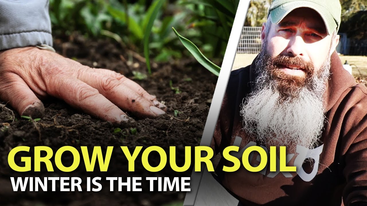 Cheap-Ways-To-Grow-Your-Soil-This-Winter