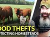 Protecting-Gardens-AND-Livestock-During-SHTF