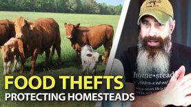 Protecting-Gardens-AND-Livestock-During-SHTF