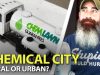 Are-CHEMICALS-To-Blame-For-City-INVASION-Of-INSECTS