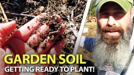 FINAL-Plans-To-Get-My-Garden-Ready-For-Spring