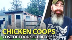 How-Much-Should-You-SPEND-On-A-Chicken-Coop-Build