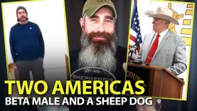 More-PROOF-The-Collapse-Is-HAPPENING-Now