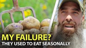 The-Concept-Of-EATING-Seasonally