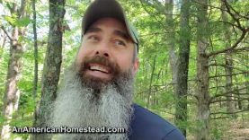 Lets-Go-For-A-Walk-This-Morning