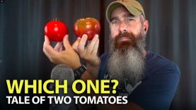 Wisdom-Comes-From-PAIN-and-Experience