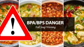 HOMESTEAD-Foods-and-HIDDEN-Dangers-BPA-in-Soups
