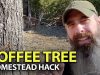 Homesteaders-Make-The-Best-All-You-Need-Is-A-Maple-Tree