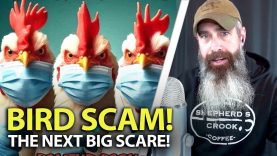 Egg-Shortages-Are-NO-JOKE-Grow-Your-Own