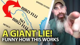 Borders-Apparently-Stop-Deadly-Bird-Flu