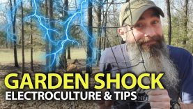 ElectroCulture-And-What-I-Think-Works-Better