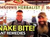 Plants-For-Snake-Bites-Doc-Jones-and-Homesteading