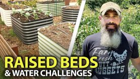 Raised-Bed-Gardens-And-Their-Challenges