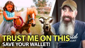 Five Worthless Homestead Animals Wasting Your Time