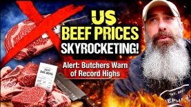 Beef Prices Spike! Here’s What’s Actually Happening!