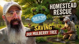 I Have To Save This Mulberry Tree Before It Dies! – SeeSii Saw Pole Saw Review
