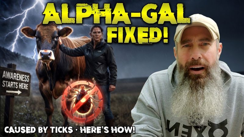 Alpha-Gal-Fixed-Without-SAAT-Heres-How-She-Did-It
