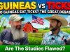 He-Said-Guineas-Dont-Eat-Ticks-WHAT